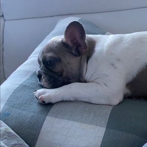 Meet your Posher, Candace